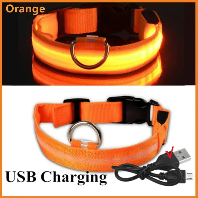 Glowing Dog Collar - Small Easy-Swap Battery