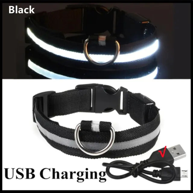 Glowing Dog Collar - Small Easy-Swap Battery