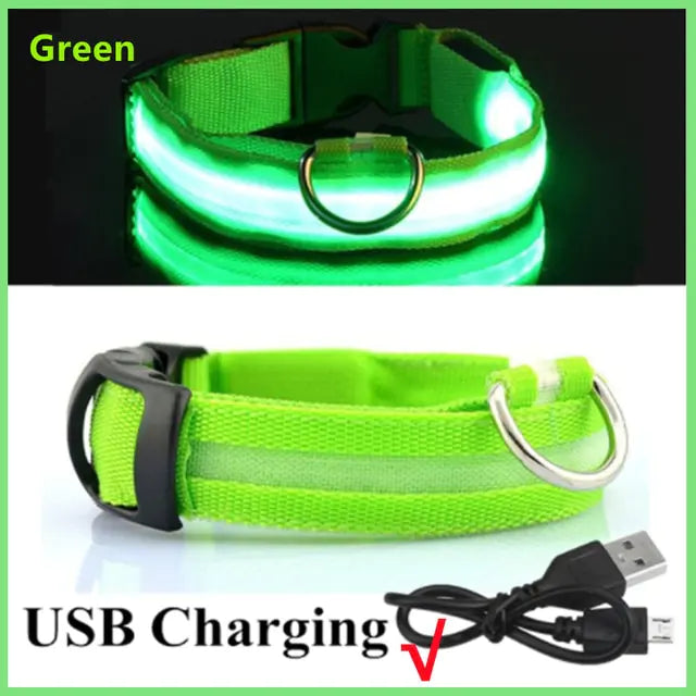 Glowing Dog Collar - Small Easy-Swap Battery