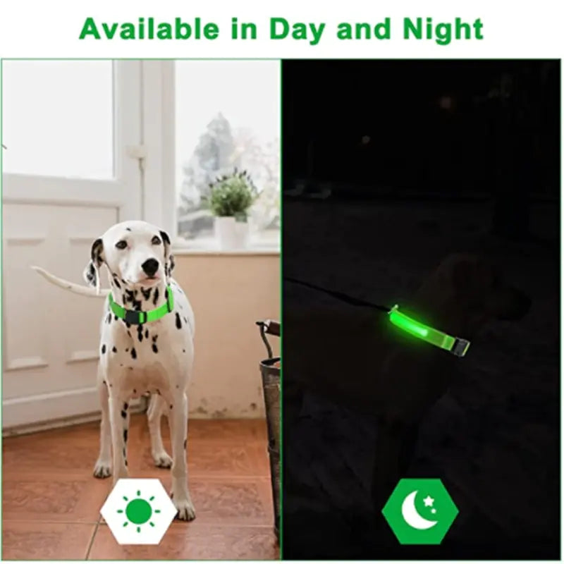 Glowing Dog Collar - Small Easy-Swap Battery