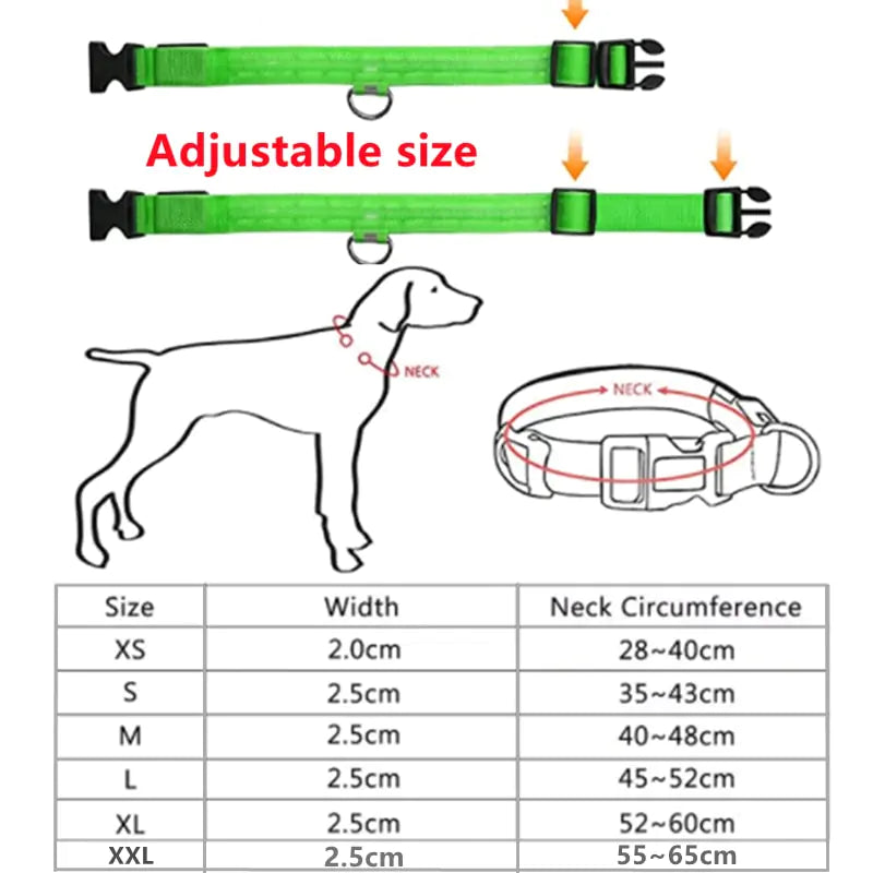 Glowing Dog Collar - Small Easy-Swap Battery