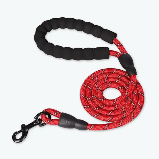 Premium Quality Reflective Nylon Leash for Dogs