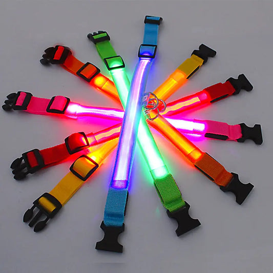 Glowing Dog Collar - Small Easy-Swap Battery