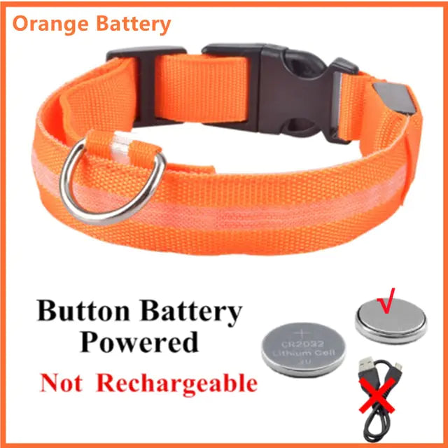 Glowing Dog Collar - Small Easy-Swap Battery