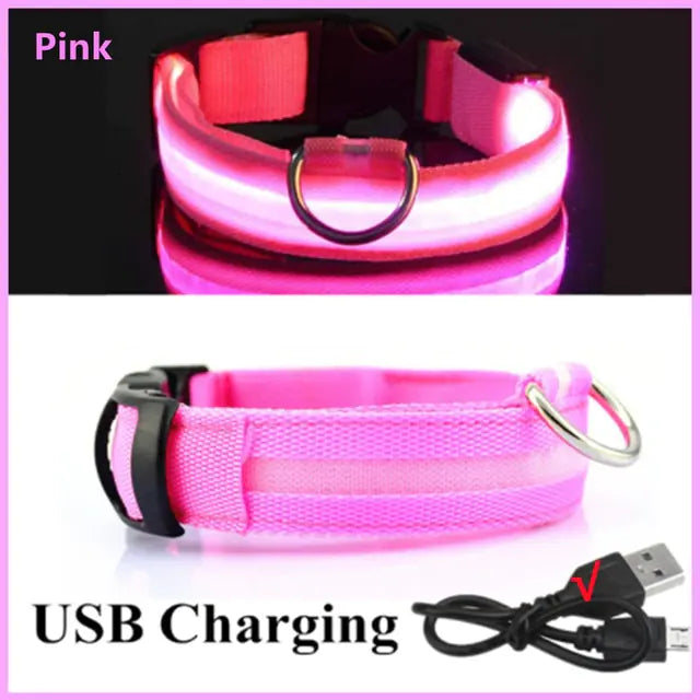 Glowing Dog Collar - Small Easy-Swap Battery