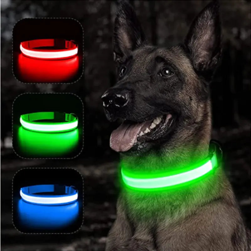 Glowing Dog Collar - Small Easy-Swap Battery