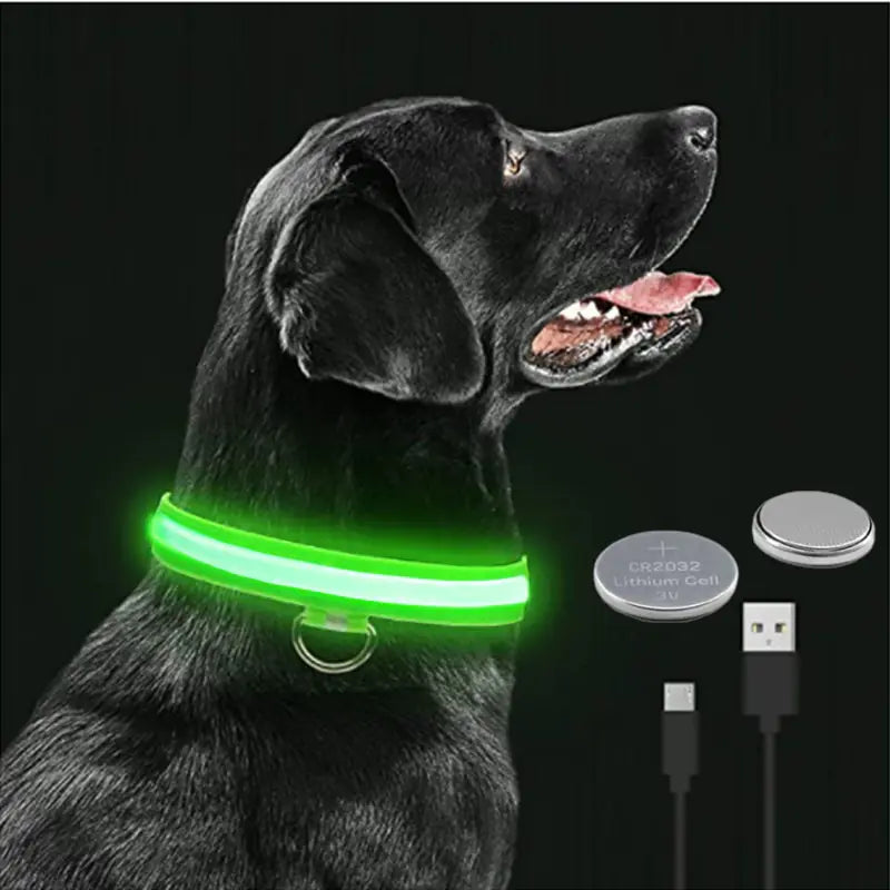 Glowing Dog Collar - Small Easy-Swap Battery