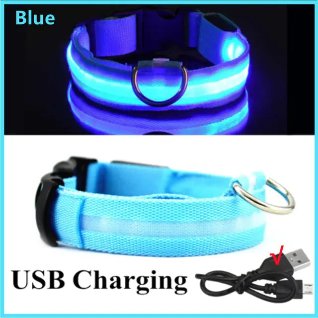 Glowing Dog Collar - Small Easy-Swap Battery