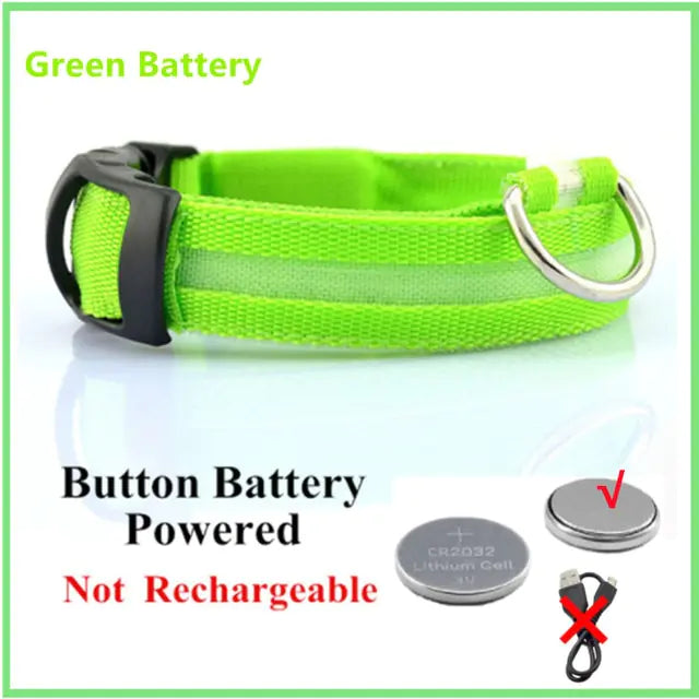 Glowing Dog Collar - Small Easy-Swap Battery