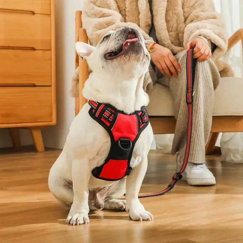 P&B Dog No-Pull Vest Harness  - Adjustable, Reflective, and Breathable